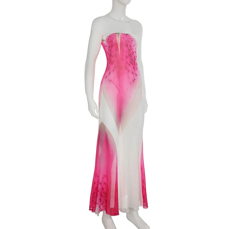BIIKPIIK Vacation Mesh Semi-perspective Long Dress Sexy Floral Printed Strapless Party Dress Elegant Women Slim Fit Maxi Dresses