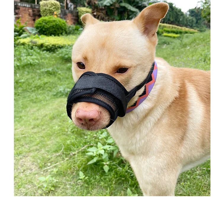 Dog muzzle Prevents biting barking and accidental eating prevents slipping off fits small medium large dogs adjustable