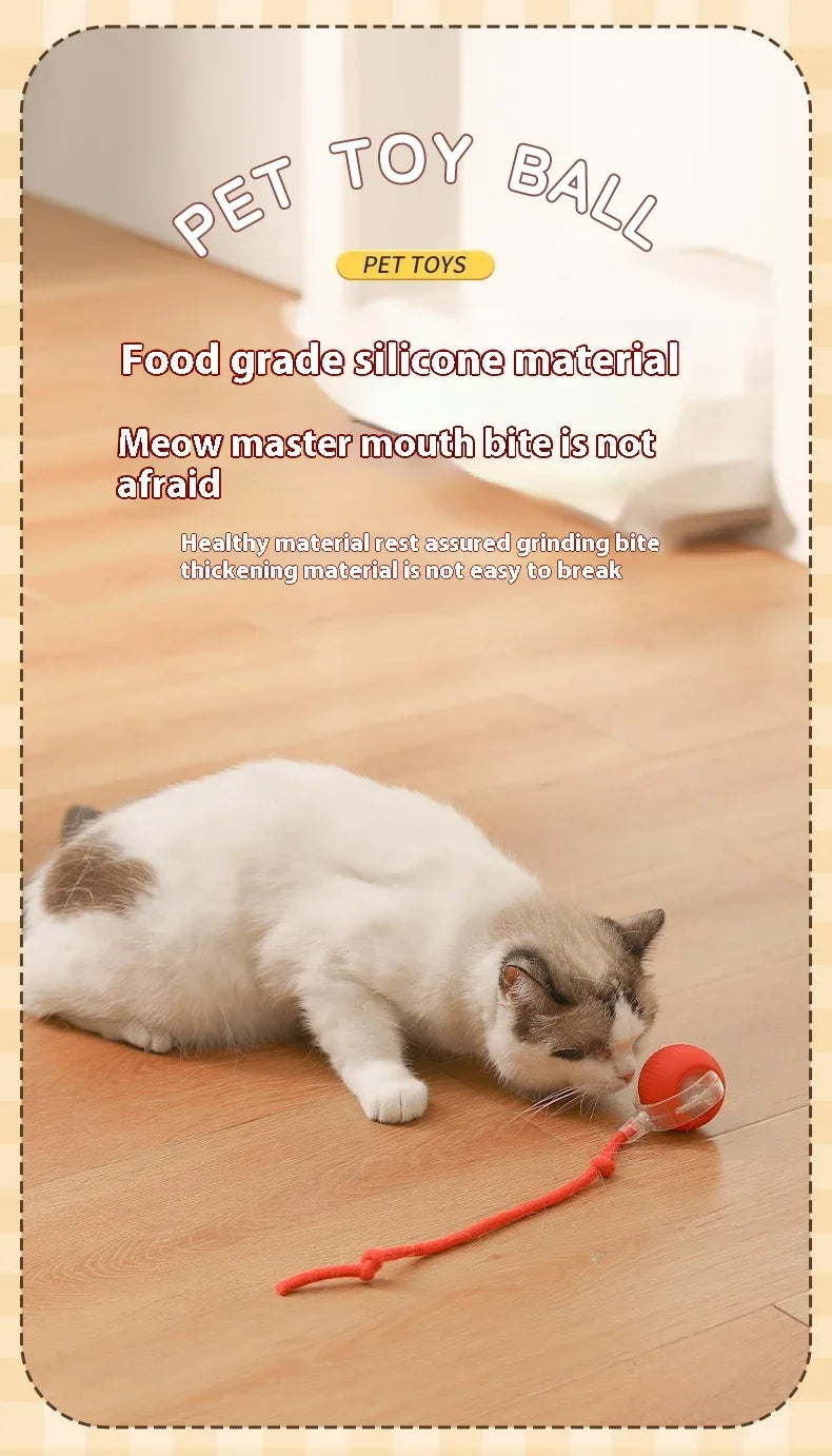 Interactive Cat Toy Ball Rolling Balls Pet Kitten Cats Teaser Automatic Electric Smart Game Plush Toys Play Stimulator Training
