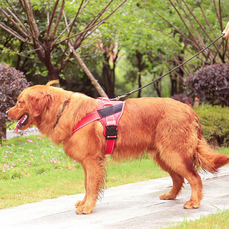 Nylon Dog Harness Personalized Reflective Pet Harness For Small Medium Large Dogs Breathable Mesh Pad Dog Harness No Pull