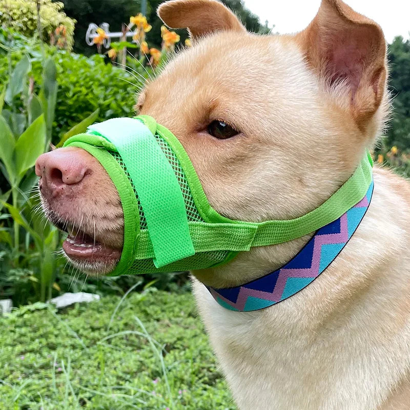 Dog muzzle Prevents biting barking and accidental eating prevents slipping off fits small medium large dogs adjustable
