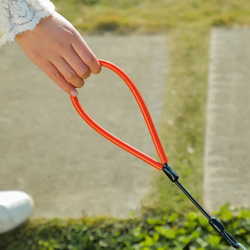 Dog Leash Steel Wire Dogs Chain Anti-Bite Leash for Dog Walking Traction Rope 2m Long Chew Proof Dogs Leashes Pet Accessories