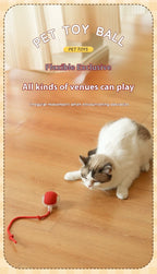 Interactive Cat Toy Ball Rolling Balls Pet Kitten Cats Teaser Automatic Electric Smart Game Plush Toys Play Stimulator Training