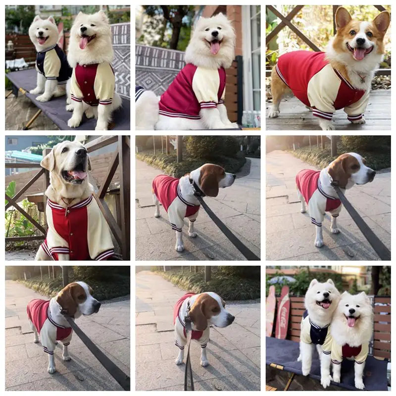 M~7XL Warm Big Dog Baseball Suit Medium Large Dogs Autumn Winter Clothing Golden Retriever Labrador Dog Sweater Thick Style