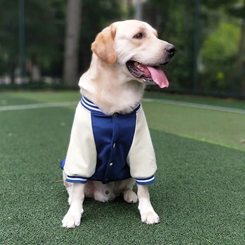 M~7XL Warm Big Dog Baseball Suit Medium Large Dogs Autumn Winter Clothing Golden Retriever Labrador Dog Sweater Thick Style