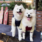 M~7XL Warm Big Dog Baseball Suit Medium Large Dogs Autumn Winter Clothing Golden Retriever Labrador Dog Sweater Thick Style