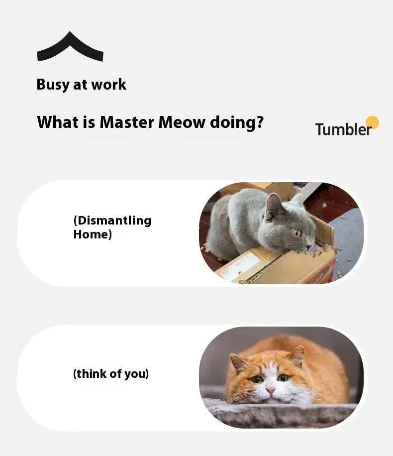 Interactive Cat Toy Ball Rolling Balls Pet Kitten Cats Teaser Automatic Electric Smart Game Plush Toys Play Stimulator Training
