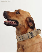 Tactical Dog Training Collar With Handle Reflective Collar Leash No Pull Lead Collars For Small Big Dogs Walking Pet Accessories