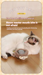 Interactive Cat Toy Ball Rolling Balls Pet Kitten Cats Teaser Automatic Electric Smart Game Plush Toys Play Stimulator Training