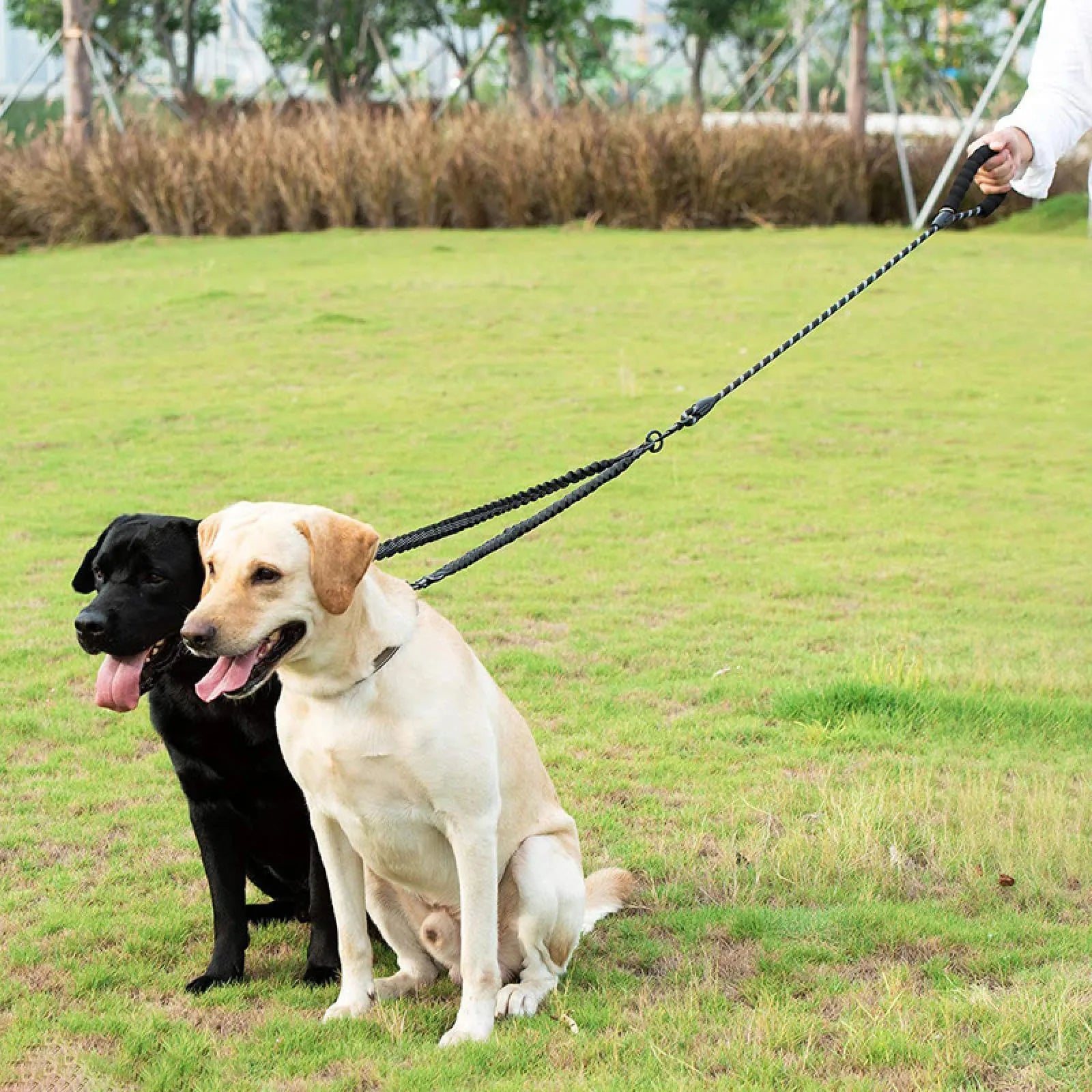 Double Dog Leash 360 Swivel No Tangle Walking Leash Shock Absorbing Bungee for Two Dogs Retractable Elastic Luminous Dog Leash