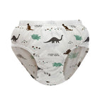 Exquisite Box Package Boys Underwear Soft Breathable Cotton Briefs For Boys Cartoon Dinosaur Kids Panties Knickers Multipack