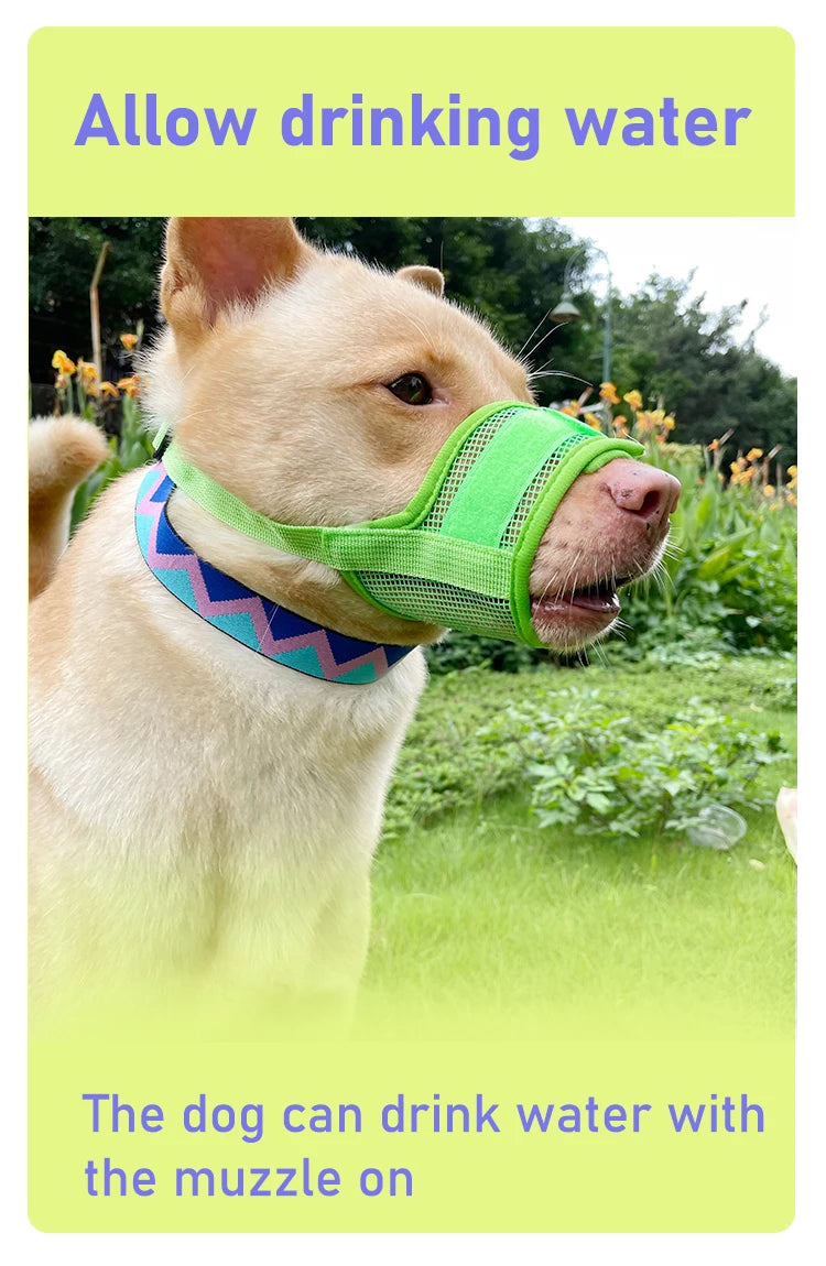 Dog muzzle Prevents biting barking and accidental eating prevents slipping off fits small medium large dogs adjustable